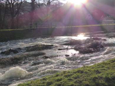 Die Lohr in der Lohrer Wöhrde